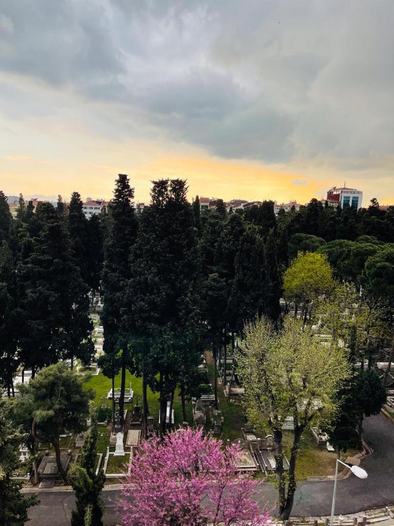 Aymira Suite Hotel Istanbul Rum bild